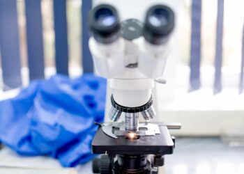 Gene therapy – a step in the right direction or a step too far?